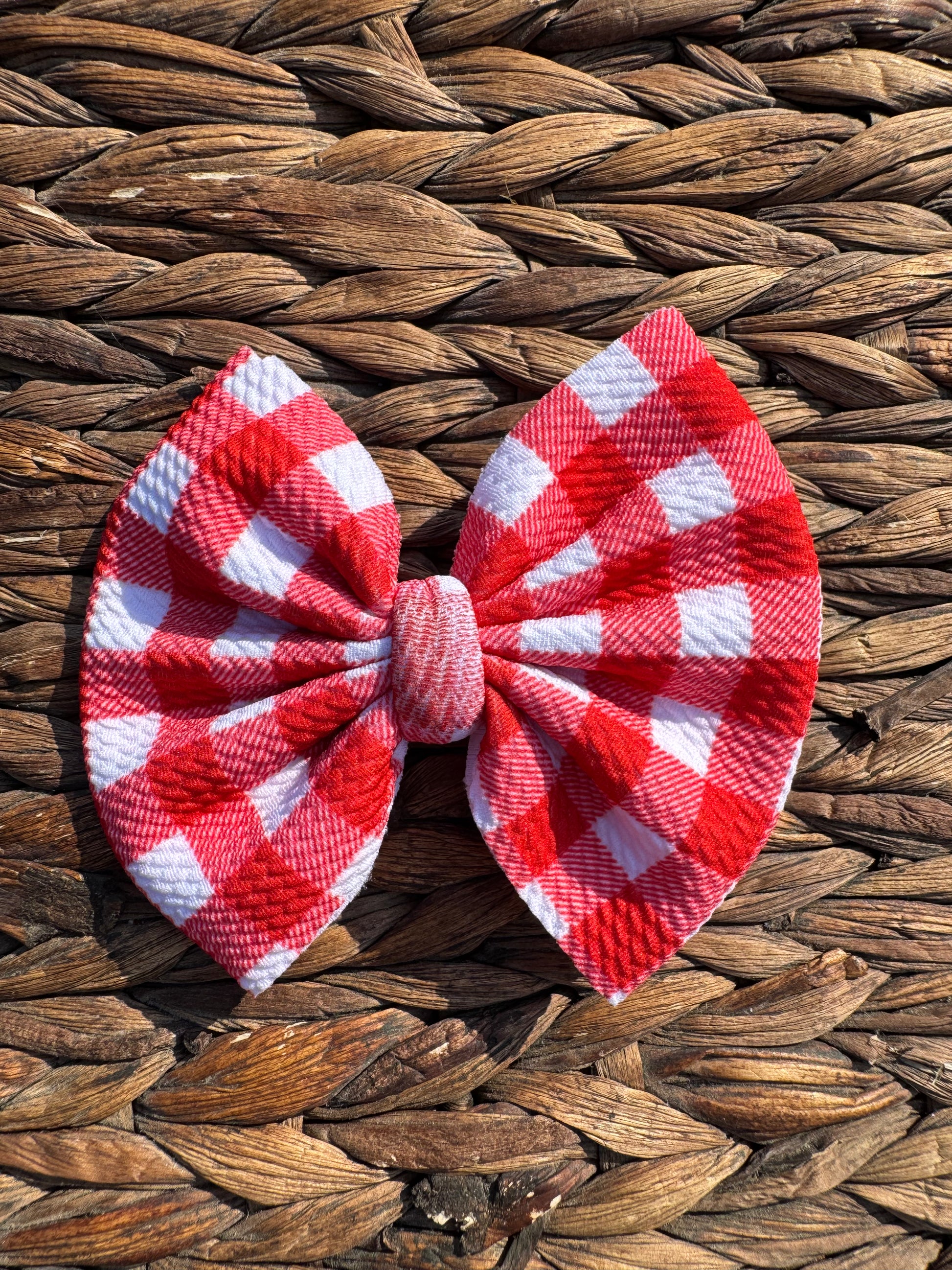 Red Gingham Fabric